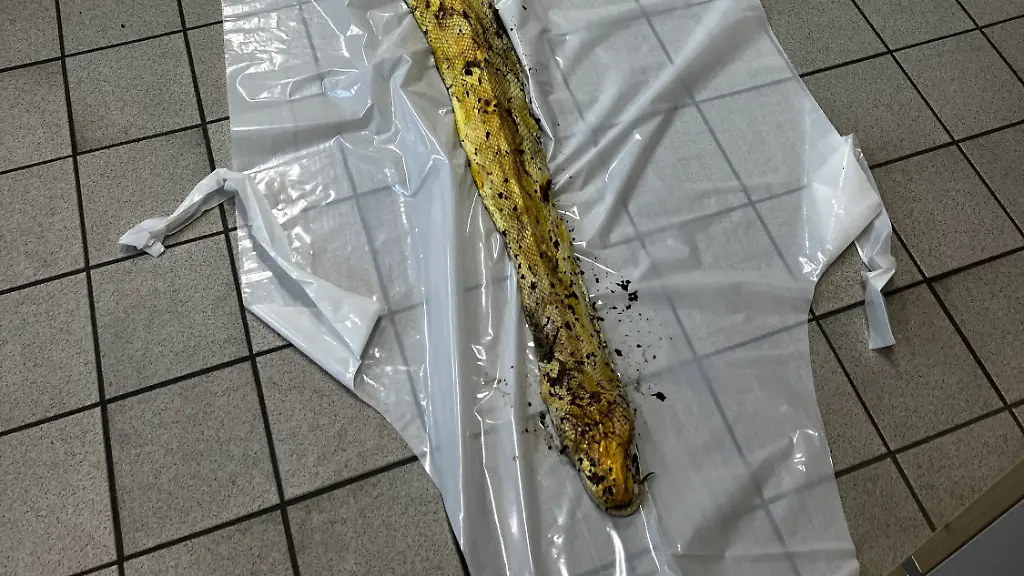 564f7503f187247a5cf173f29d8d22a0