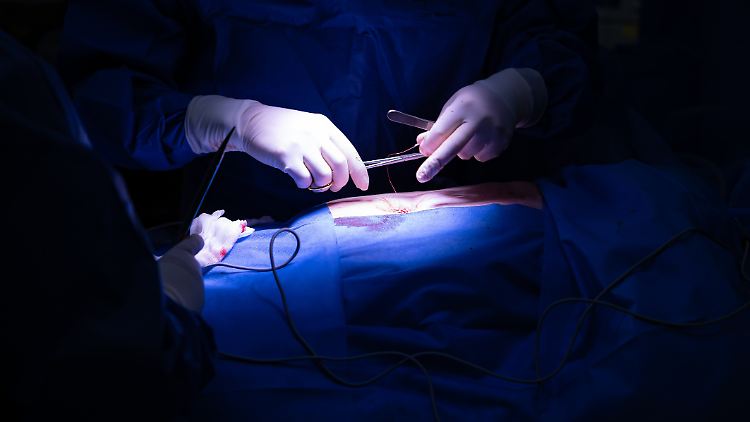 Die Länder hatten vorab die Sorge geäußert, dass weniger gute Bewertungen für Kliniken "rufschädigend" sein könnten.