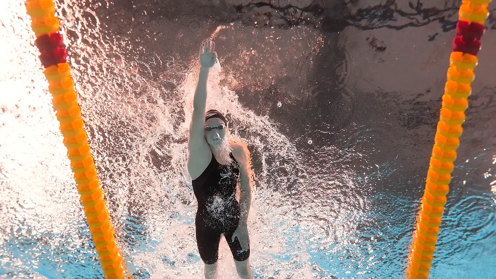 3ff9edeaa87a12c5f133cbc7b0113220