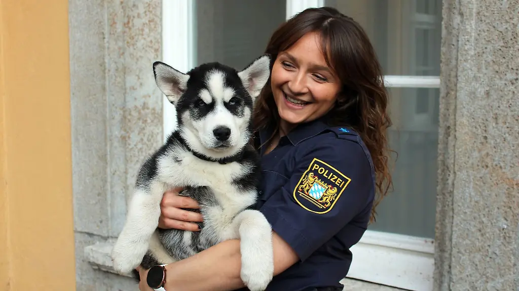 Polizistin-mit-einem-Husky-Welpen-auf-dem-Arm