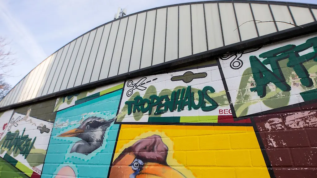 Blick-auf-das-Regenwaldhaus-im-Zoo