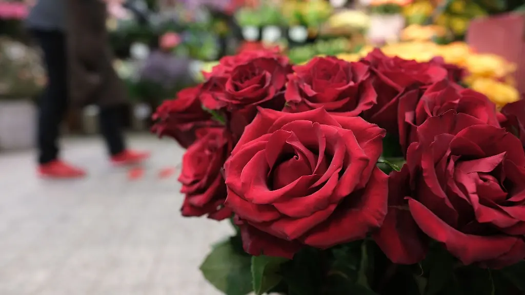 Rote-Rosen-stehen-in-einem-Blumenladen-Zum-Valentinstag-am-14-Februar-sind-auch-in-diesem-Jahr-Millionen-Rosen-an-den-Flughafen-Frankfurt-eingeflogen-worden