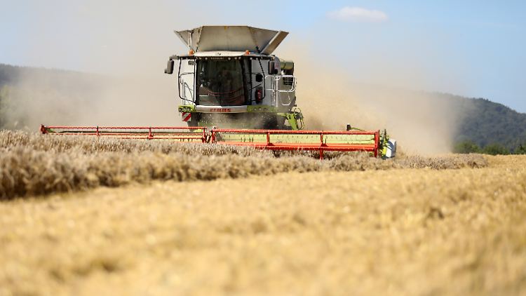 Derzeit wird viel geerntet, jedoch könnte der Ertrag für viele Produkte schmaler als im Vorjahr ausfallen.