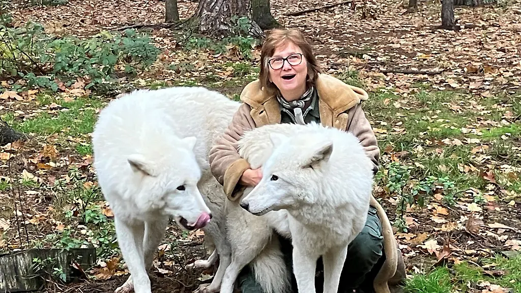 Biologin-Marion-Ebel-mit-den-beiden-Tundrawoelfen-Aslan-links-und-Monja-rechts-im-Hanauer-Wildpark-Alte-Fasanerie