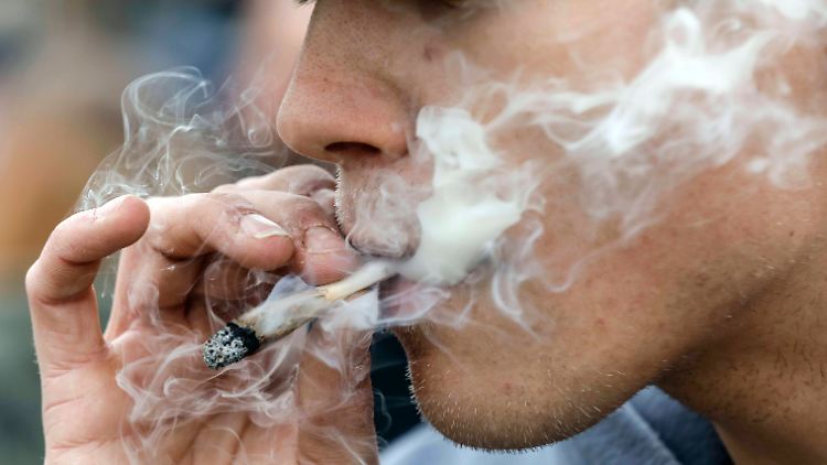 Am weltweiten Aktionstag für den legalen Marihuana-Konsum, dem 20. April, fordern Menschen in vielen Ländern eine Freigabe der Droge. Hier ein Berliner Demonstrations-Teilnehmer.