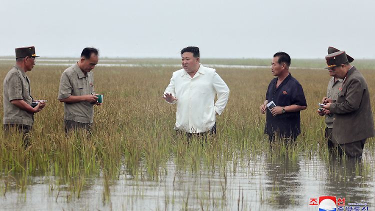 Knietief im Wasser stehend schimpft Kim über seine Regierungsmitglieder. 