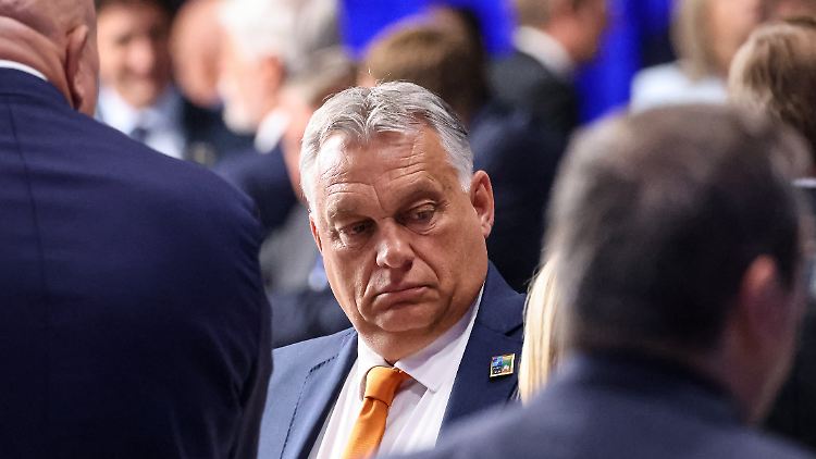 Beobachter sehen in der Freilassung eine ungarische Vergeltungsmaßnahme gegen Brüssel aufgrund des anhaltenden Streits um die europäische Migrationspolitik. 