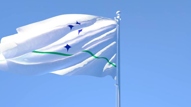 Argentinien, Brasilien, Paraguay und Uruguay sind Teil des Mercosur.