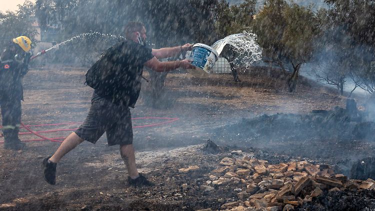 Verzweifelt kämpfen Feuerwehrleute und private Helfer seit Tagen mit den Flammen im Parnitha-Nationalpark. 