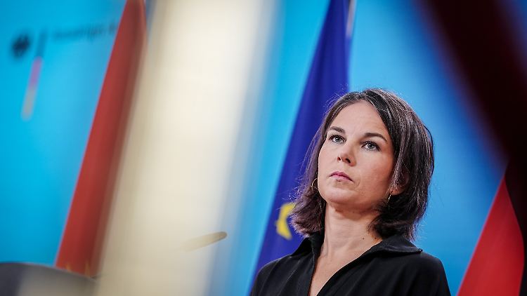 Baerbock kritisiert Merz' Vorschläge.