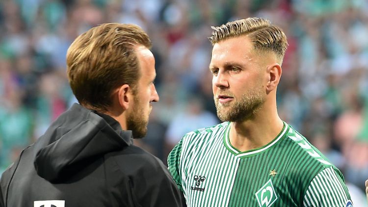 Die Protagonisten der neuen Stürmerwelle. 