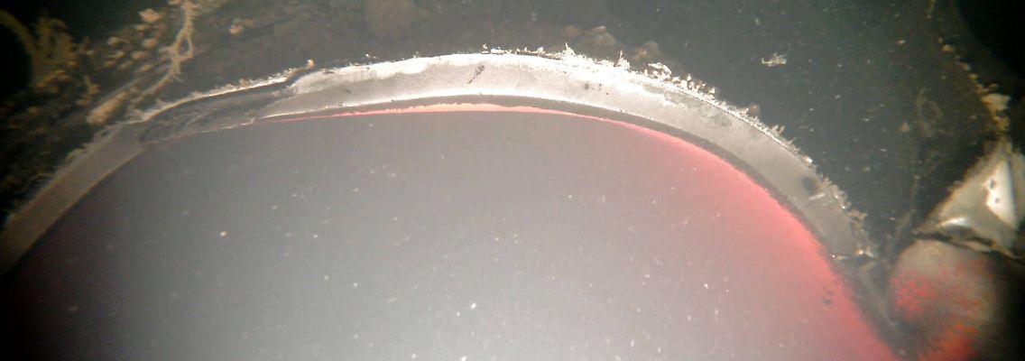 imago0170977299h.jpg