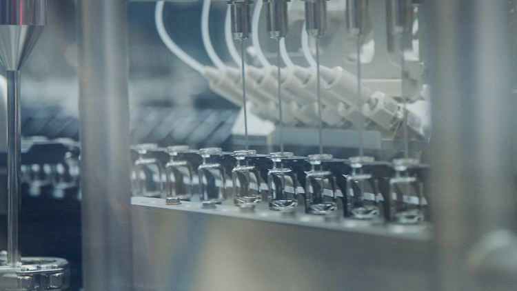 Pfizer füllt hier Ampullen mit dem Impfstoff Abrysvo ab. Die sollen ab sofort in der EU verabreicht werden.