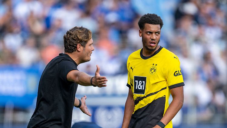 BVB-Coach Edin Terzic und Felix Nmecha haben Redebedarf.