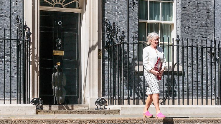 Unter anderem der Stadtrat von Mid Bedfordshire in ihrem Wahlkreis hatte Nadine Dorries aufgefordert, ihr Mandat "endlich" zurückzugeben, da sie ihren Pflichten als Abgeordnete nicht mehr nachkomme. 