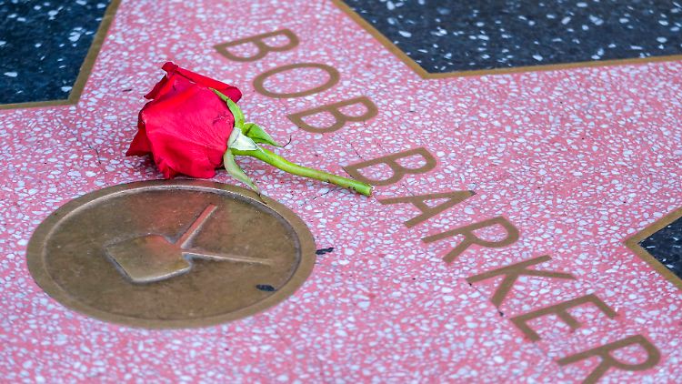 Eine Rose für den Toten auf Hollywoods Walk of Fame. 