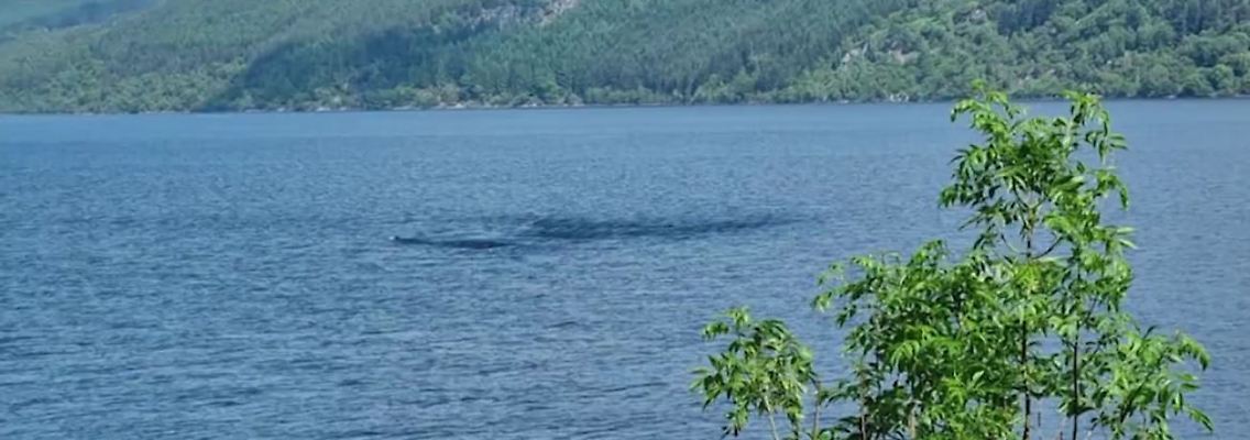 Nessie.JPG