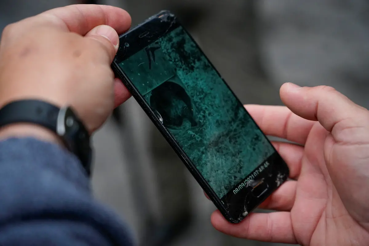 Baerin-geht-in-Kaefig