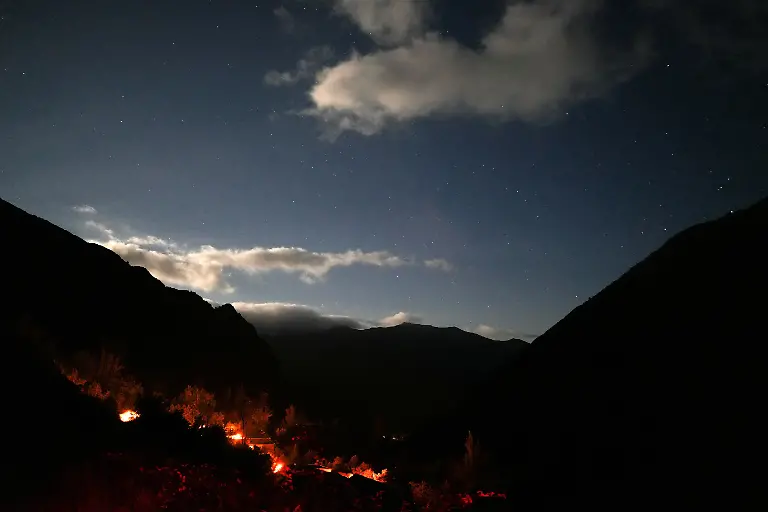 2024-02-08T080923Z-1264333799-RC2ZF2AKHN5X-RTRMADP-3-SPAIN-WILDLIFE-IBERIAN-BEAR