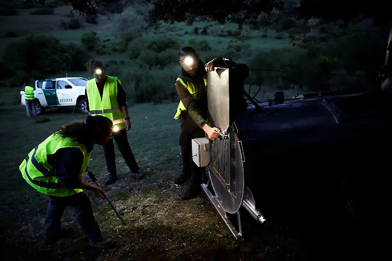 Daniel-Pinto-Laura-Martin-and-Nuria-Foces