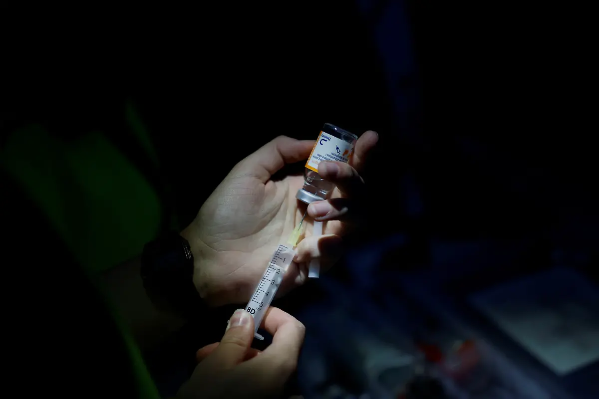 2024-02-08T080937Z-1709973697-RC2TAU9Q44CA-RTRMADP-3-SPAIN-WILDLIFE-IBERIAN-BEAR