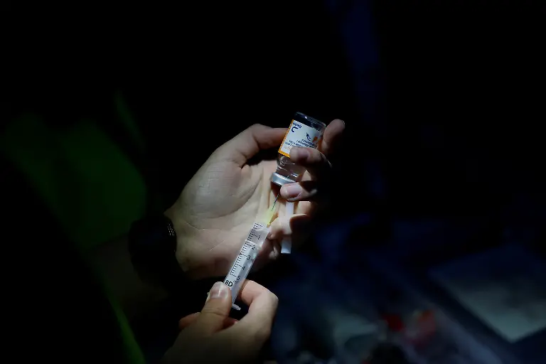 2024-02-08T080937Z-1709973697-RC2TAU9Q44CA-RTRMADP-3-SPAIN-WILDLIFE-IBERIAN-BEAR