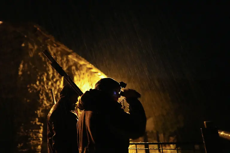 Suche-nach-Baerin-Lechuguina