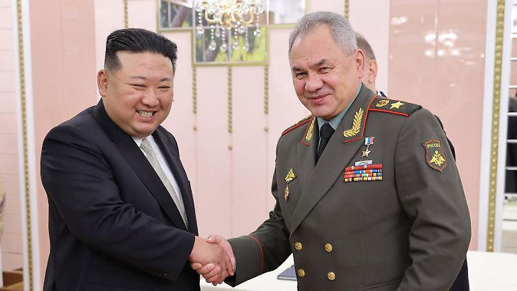 Handschlag mit Symbolcharakter. Die USA vermuten, dass es bei dem Treffen zwischen Kim Jong-un und Sergei Schoigu womöglich auch um Waffendeals ging. 