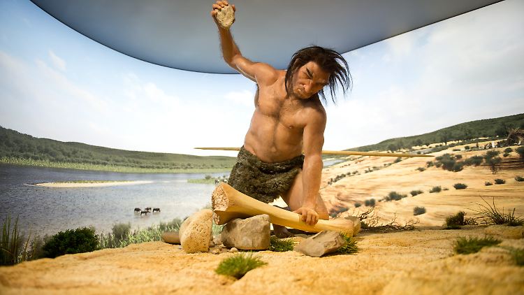 Figur eines Steinheimer Urmenschen (Homo heidelbergensis) aus der Holstein-Warmzeit vor 415.000- 400.000 Jahren in einer Ausstellung: Der Populationsschwund soll der Studie zufolge den Homo heidelbergensis betroffen haben.