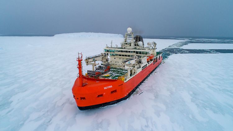 Der Eisbrecher "RSV Nuyina" wurde 2016 in Dienst gestellt.