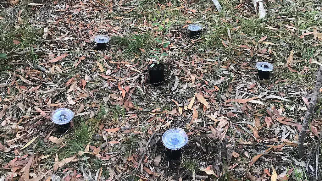 ACHTUNG-Frei-nur-im-Zusammenhang-mit-der-Berichterstattung-ueber-die-Studie