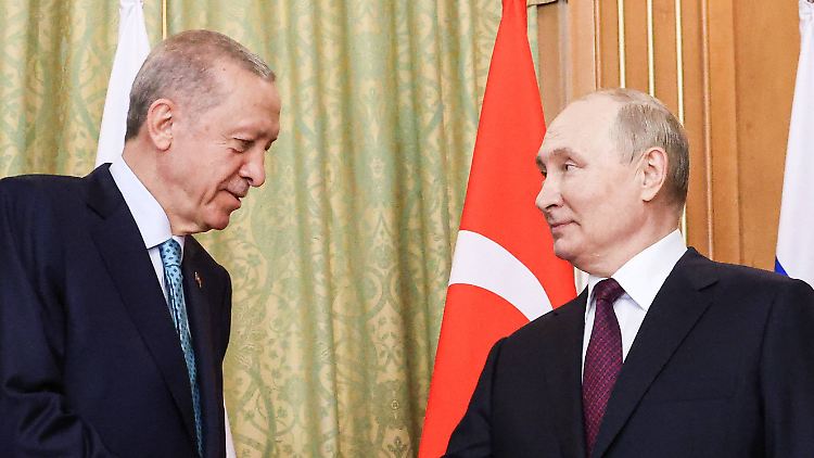 Erdogan (l.) und Putin trafen sich in Sotschi.