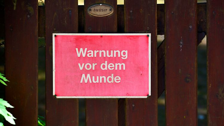 Immer mehr Leute toben sich im Internet aus.