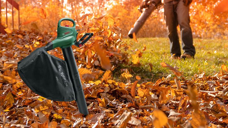 Im Herbst unverzichtbar: Laubbläser für den eigenen Garten.