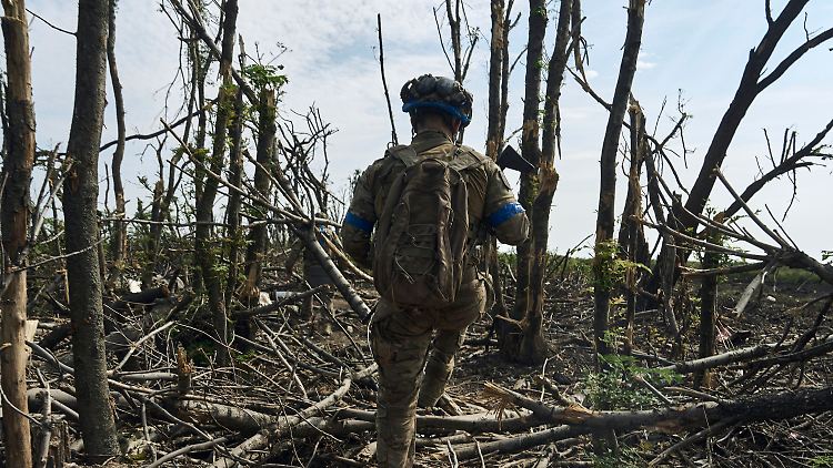Seit Monaten umkämpft: Ein ukrainischer Soldat läuft bei Bachmut an verbrannten Bäumen vorbei.