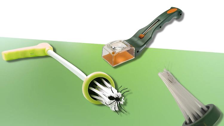 Insekten und Spinnen im Haus müssen nicht im Staubsauger enden.