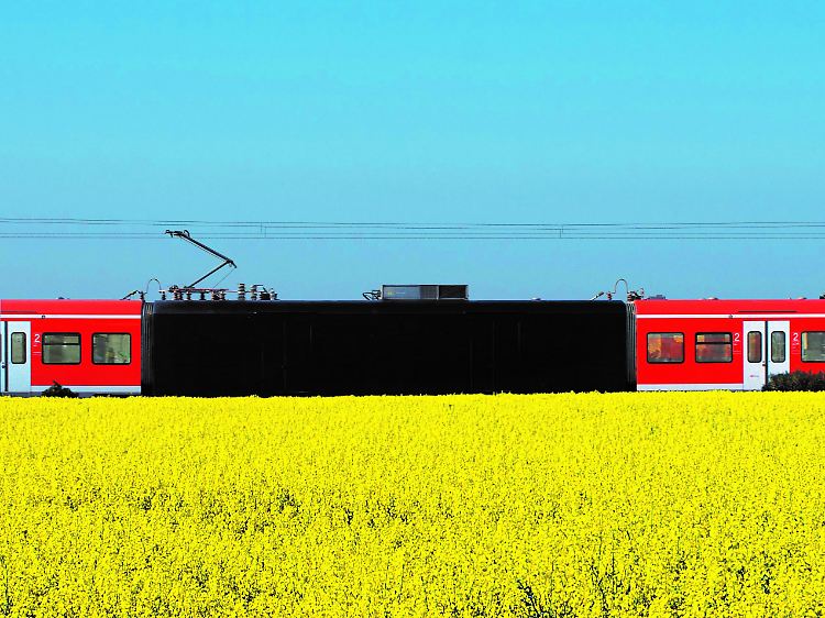 Hat was von optischer Täuschung: Schwarzer "Wholetrain" im Rapsfeld von Moses & Taps. Ihre Kunst wird auch in Galerien ausgestellt.