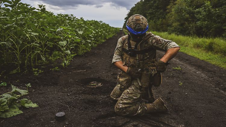 Viele Minen detonieren bereits bei Bewegungen im Umfeld von anderthalb Metern.
