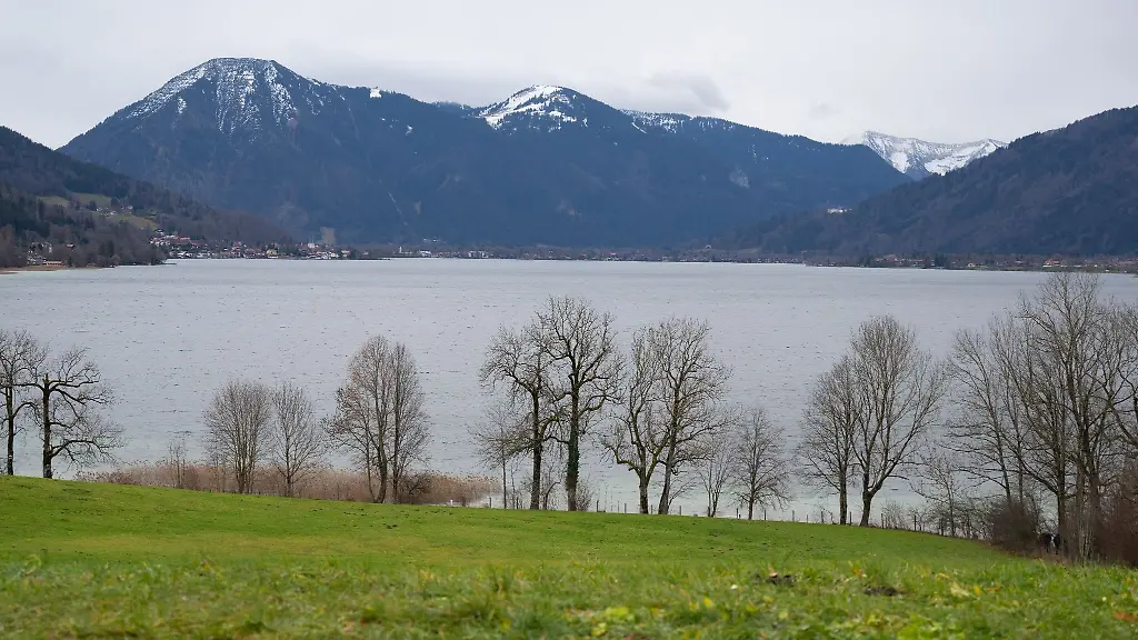 Eine-Gruene-Wiese-ist-am-Ufer-des-Tegernsees-zu-sehen