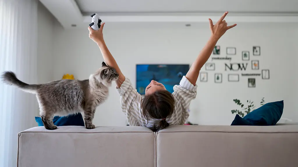 Fernseher-Soundbar-Test