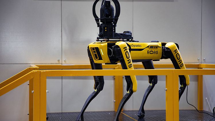 Robo-Hund "Spot" soll in den Logistik-Zentren künftig den Überblick behalten. 