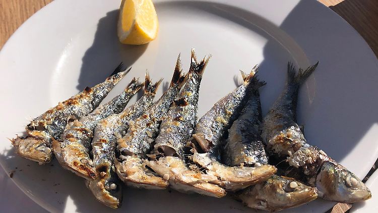 Trotz einem "strengen Geruch" tischte der Wirt die verdorbenen Sardinen seinen Gästen auf.