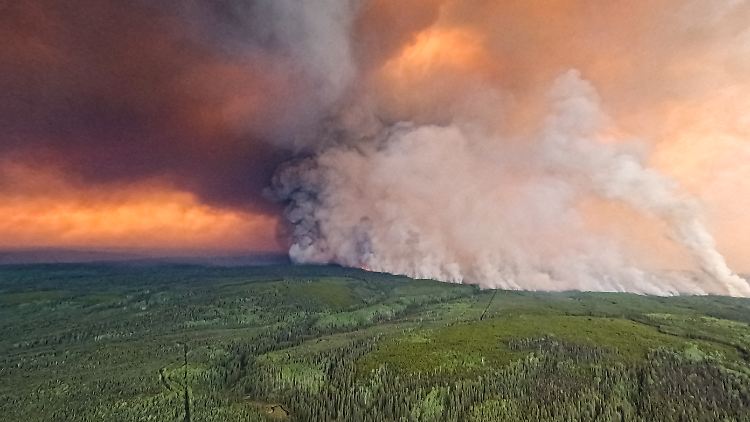 Besonders die Waldbrände in Kanada verursachen laut Copernicus große Mengen an Kohlenstoff-Emissionen. 