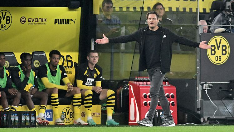 BVB-Coach Edin Terzic steht nach dem Fehlstart in die neue Saison unter Druck.