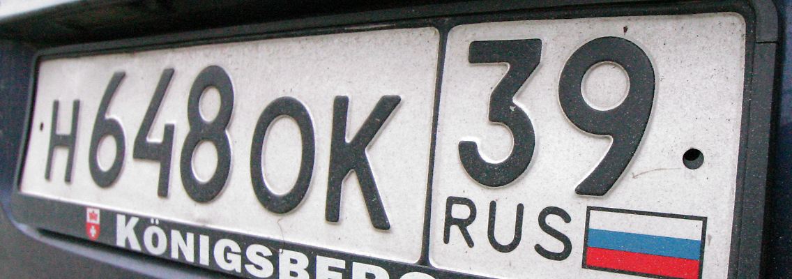 425827282.jpg
