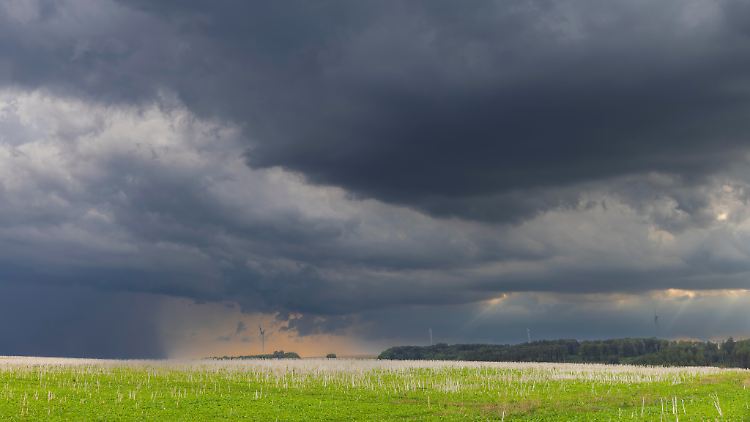 Regenschirm nicht vergessen: Zum Herbstbeginn wird es ungemütlich.