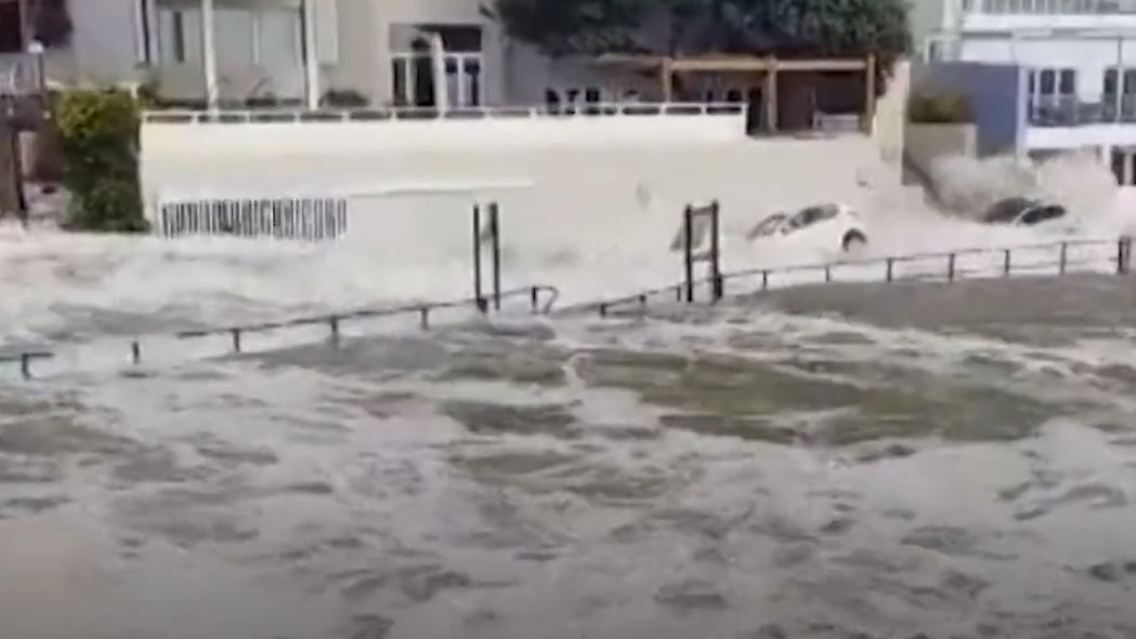 süda.JPG