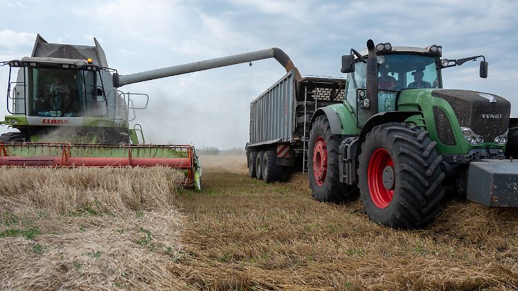 Polen, Ungarn und der Slowakei sperren sich weiterhin gegen den Import ukrainischen Getreides. 
