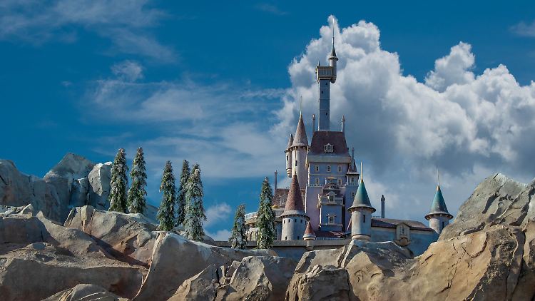 Die Bärin wurde im "Verwunschenen Königreich", einer Attraktion im Disneypark Orlando, entdeckt.
