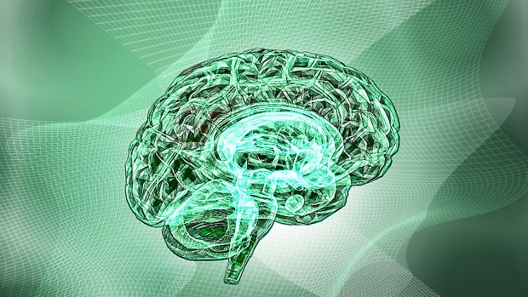 Nach zehn Jahren endet nun das Human Brain Project.